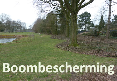 Boombescherming
