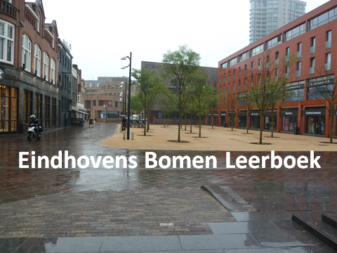 Eindhovens Bomen Leerboek